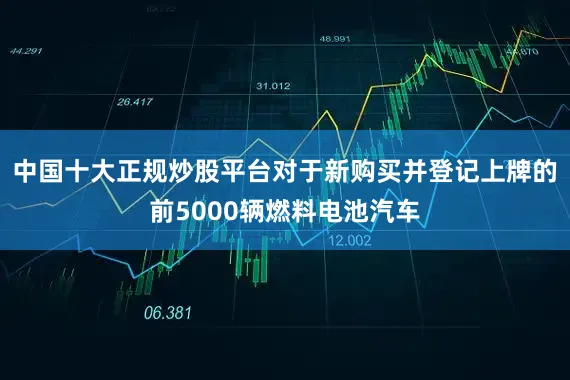 中国十大正规炒股平台对于新购买并登记上牌的前5000辆燃料电池汽车