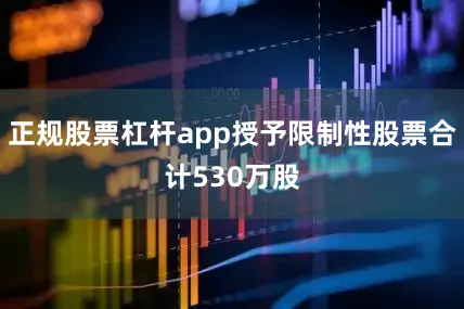 正规股票杠杆app授予限制性股票合计530万股