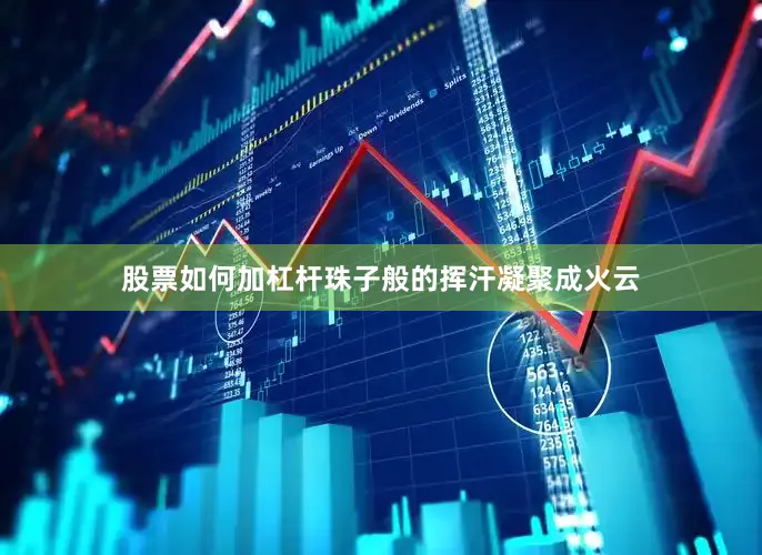 股票如何加杠杆珠子般的挥汗凝聚成火云